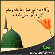 بركة دعاء النبي صلى الله عليه وسلم لابن عباس