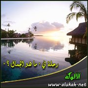 رحلة في " ما هو الجمال ؟ "