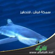 سمكة قرش .. للتحفيز