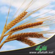 حول مشروعية العمل الخيري والرد على المانعين