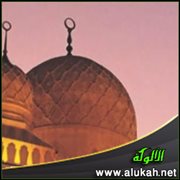 الرد على شبهتي: بدعية تقسيم التوحيد، وأن السلفيين مشغولون بقضايا فقهية فرعية