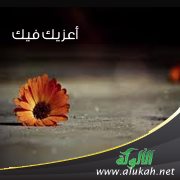 أعزيك فيك ( قصيدة تفعيلة )