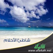 شاطئ الأحلام