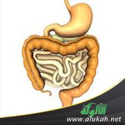 أصوات القولون تحرجني
