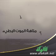 متاهة الموت البطيء