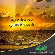 لقطة شعرية لشهيد قدسي (قصيدة تفعيلة)