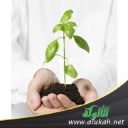 المجنون الحر (2)