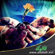 قطة تتمرد (قصة قصيرة)