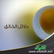 دلائل الخالق