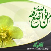 لبساطة السلطة على كرسي التواضع مقاس