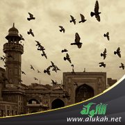حوار مع البروفيسور إدريس توفيق ورحلته من الفاتيكان إلى الأزهر