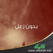 بدون زعل
