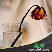 تأليف كتاب عن ظلم الزوجة الثانية وأثره على المجتمع