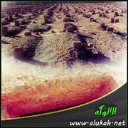 الموت يسمى بالقيامة الصغرى ( وقفات وتنبيهات )