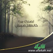 لصدرك مرة كالطفل ضميني (قصيدة تفعيلة)