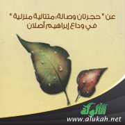 عن " حجرتان وصالة: متتالية منزلية " في وداع إبراهيم أصلان