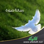 رسالة صورة (2) (قصيدة)