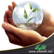 منهجية الحفاظ على البيئة في الثقافة العربية الإسلامية