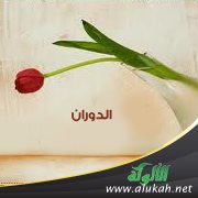الدوران ( قصيدة )