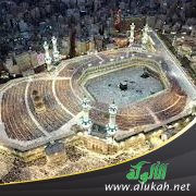 على جناح حمامة