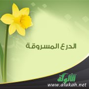الدرع المسروقة