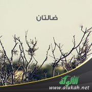 ضالتان ( قصيدة تفعيلة )