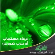 دعاء مستجاب أو حرب ضروس ( قصة )