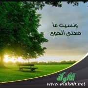 ونسيت ما معنى الهوى ( قصيدة )