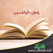 وطن الراشدين؛ للكاتب: عمرو عبدالعزيز