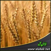 زكاة الزروع والثمار