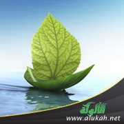 حول الإيمان والحياة والمستقبل