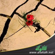 يهتم بأهله ويتركني