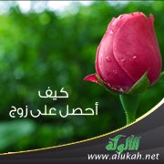 كيف أحصل على زوج
