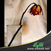 الغيرة على الأعراض .. موضة قديمة!! (2)