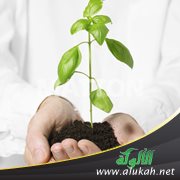 في رمضان يجلو العمل الصالح .. فتذكروا إخوانكم