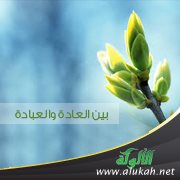 بين العادة والعبادة
