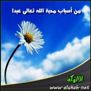 من أسباب محبة الله تعالى عبدا ( الاشتغال بمعالي الأمور وأشرافها )