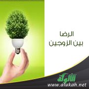 الرضا بين الزوجين