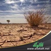 الجفاف في إفريقيا .. القنبلة الموقوتة