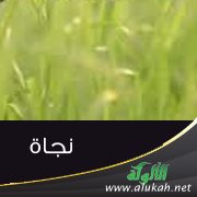 نجاة ( قصيدة )