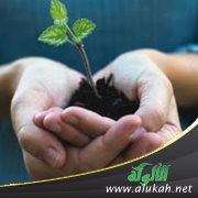 سر محبة الله - تعالى - للمداومة على الأعمال الصالحة