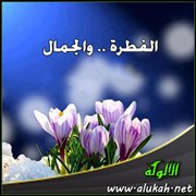 الفطرة .. والجمال