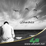 حلم ساكن