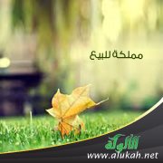 مملكة للبيع