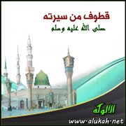 قطوف من سيرته صلى الله عليه وسلم (2)