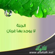 الجنة لا يوجد بها غربان ( قصة قصيرة )