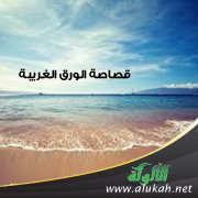 قصاصة الورق الغريبة ( قصة )