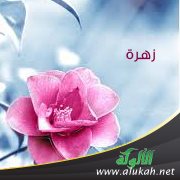 زهرة ( قصيدة تفعيلة )