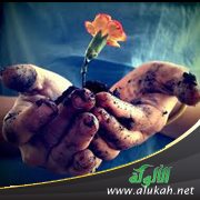 زوايا للنظر ( قصص قصيرة جدا )