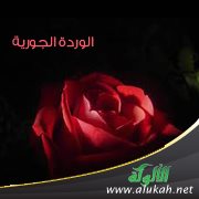 الوردة الجورية